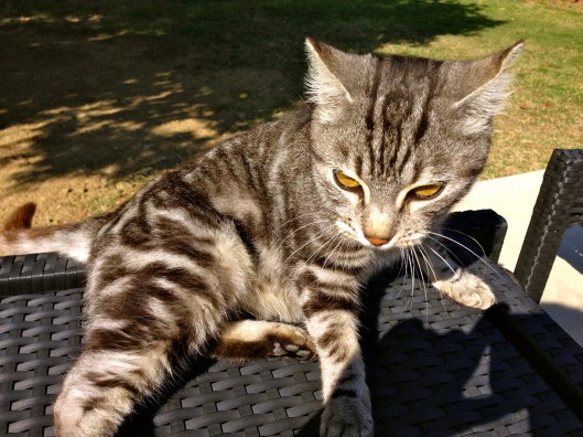 The Country House Montali