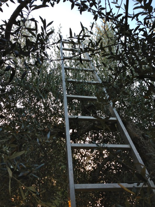 The Country House Montali