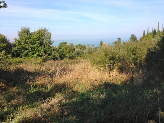 The Country House Montali