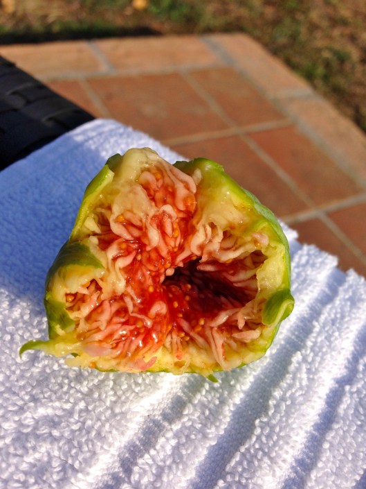 The Country House Montali