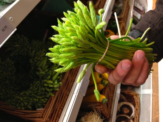 Wild Asparagus 