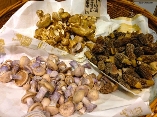 Mushrooms 