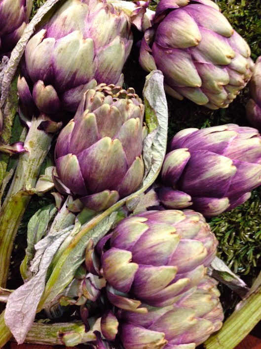 Purple Globe Artichokes