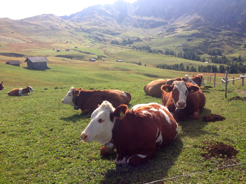 South Tyrol: Day&nbsp;2